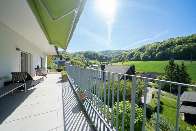 Modernes Wohnen mit traumhafter Aussicht (1)