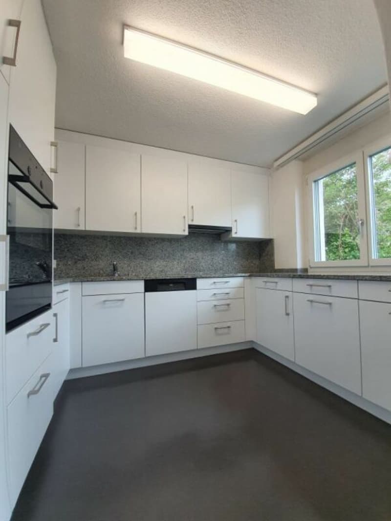 Helle 5.5 Zimmerwohnung mit privater Waschküche! (1)