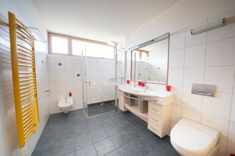 Sonnige 4.5-Zimmer-Wohnung mit viel Komfort und Rhein-Nähe (12)