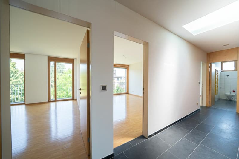 Sonnige 4.5-Zimmer-Wohnung mit viel Komfort und Rhein-Nähe (11)