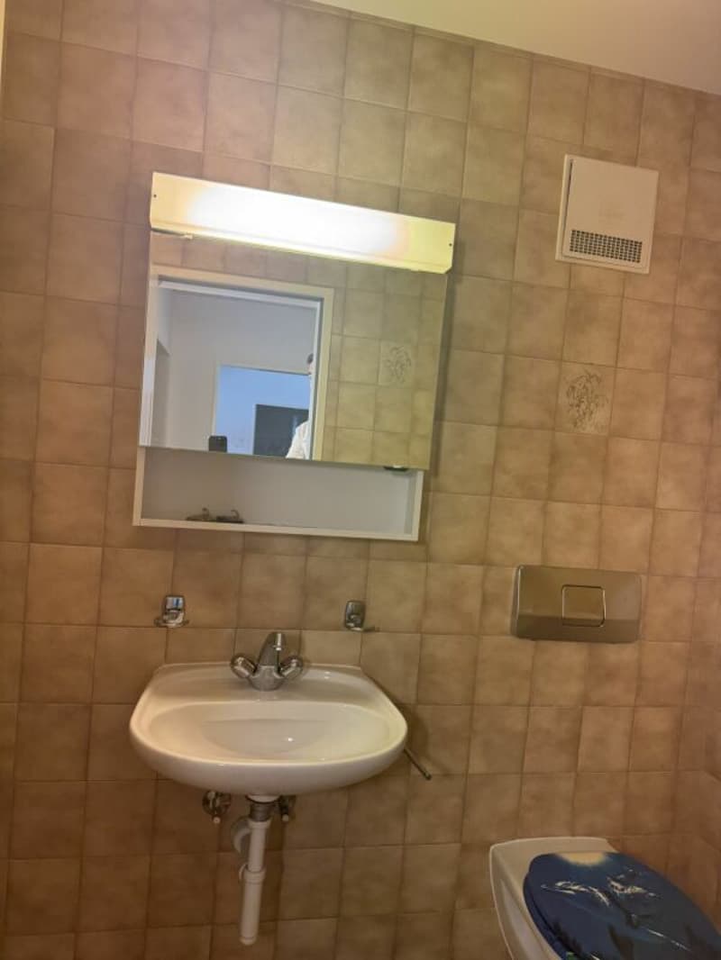 Gemütliche 3.5-Zimmer-Dachwohnung (11)