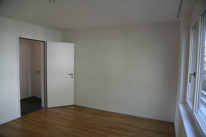 Gemütliche 4.5-Zimmer-Wohnung in Grünen (8)