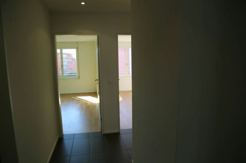 Gemütliche 4.5-Zimmer-Wohnung in Grünen (11)