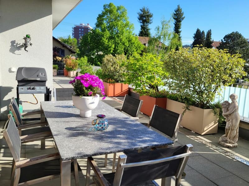 Seltenes Wohnjuwel - 5.5-Zimmer-Attikawohnung mitten in Rheinfelden (11)