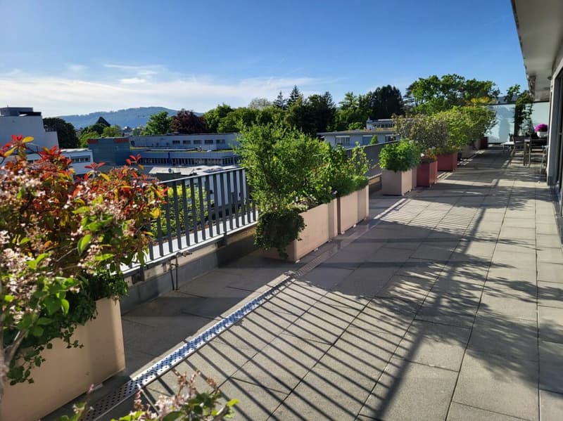 Seltenes Wohnjuwel - 5.5-Zimmer-Attikawohnung mitten in Rheinfelden (12)