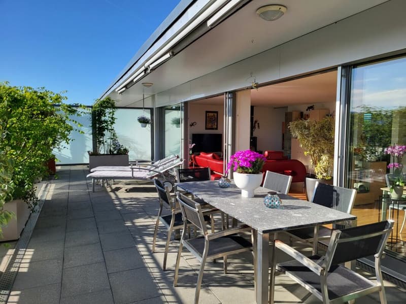 Seltenes Wohnjuwel - 5.5-Zimmer-Attikawohnung mitten in Rheinfelden (10)