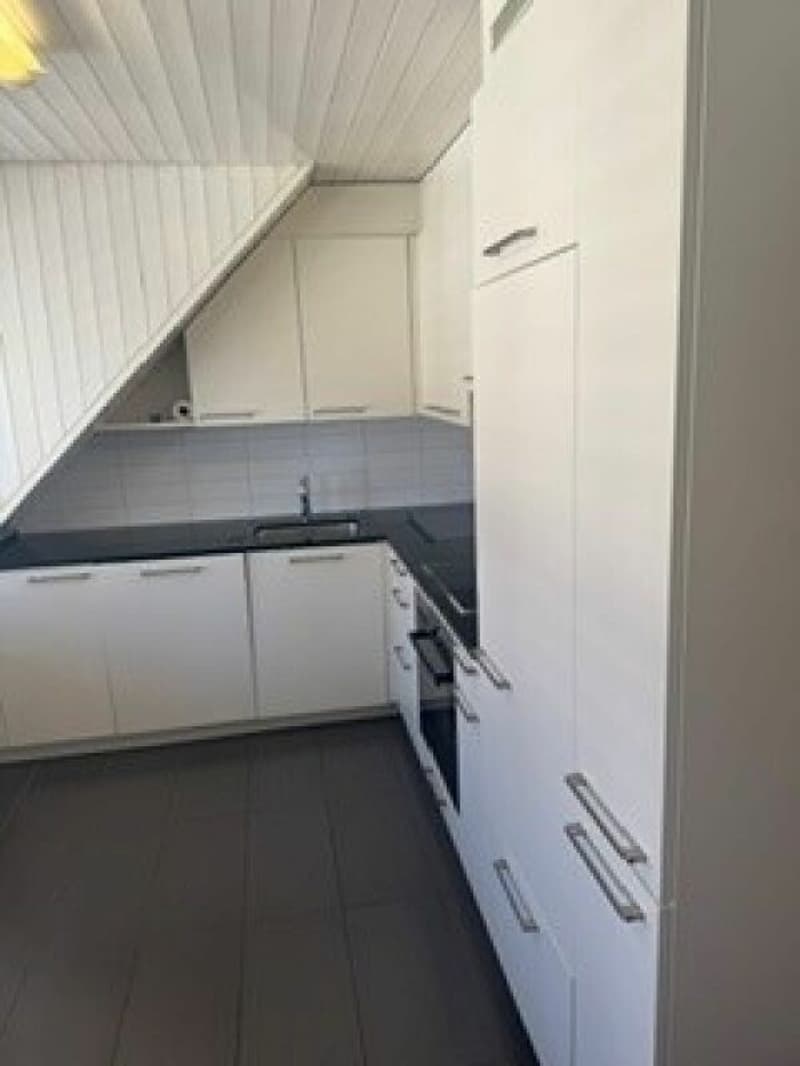 Gemütliche 3.5-Zimmer-Dachwohnung (8)