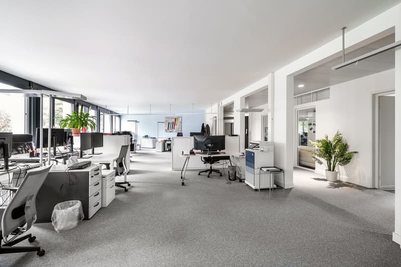 Moderne Bürofläche im Herzen von Basel (1)