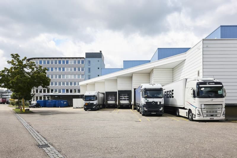 Arbeiten im Zentrum der Dreispitz-Entwicklung (9)