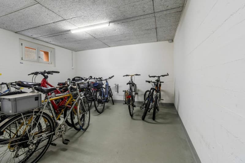 Attraktives Wohneigentum in Füllinsdorf (8)