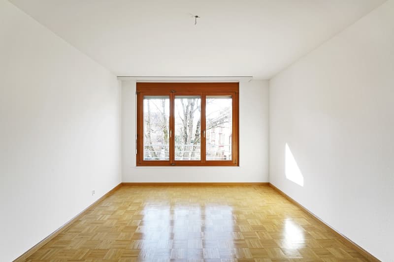 Zimmer_1.png