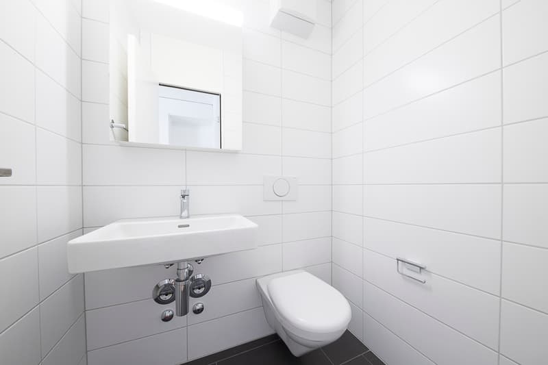 Wohnen im Zollweidenquartier (9)