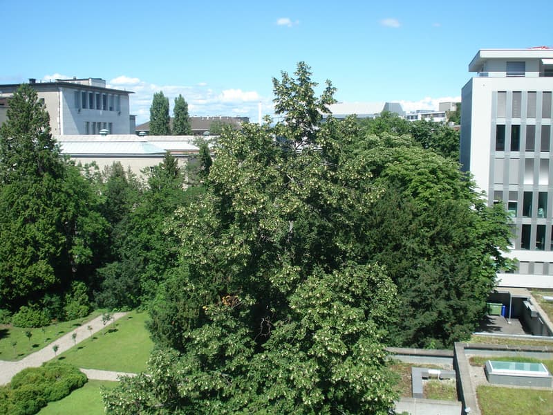 06.JPG
