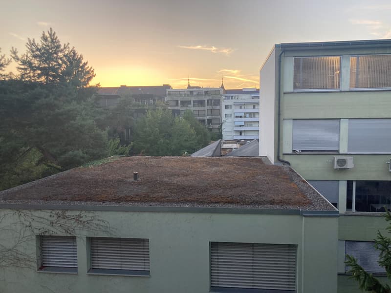 Aussicht_takacs.jpg