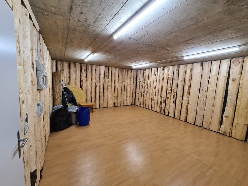 Gosszügiger Raum für Hobby/Lager/Werkstatt zu vermieten! (1)