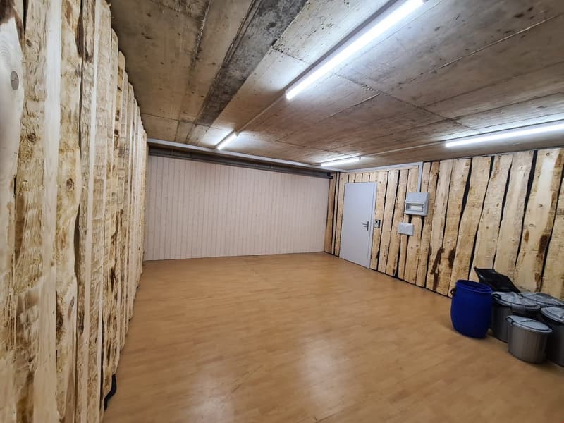 Gosszügiger Raum für Hobby/Lager/Werkstatt zu vermieten! (3)
