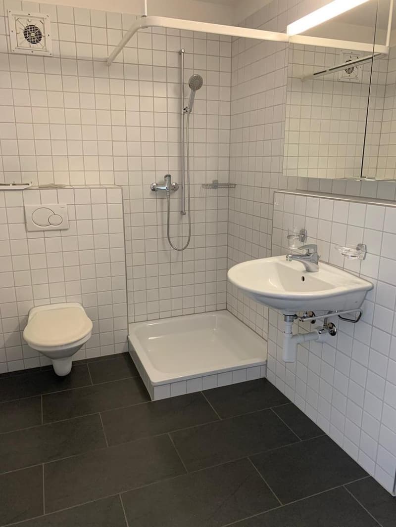 Wohnen am Puls von Fällanden (6)