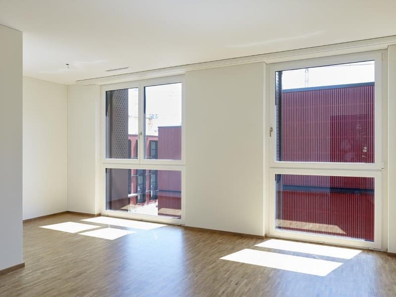 Attraktive 4.5 Zimmer-Neubauwohnung an ruhiger Lage (5)