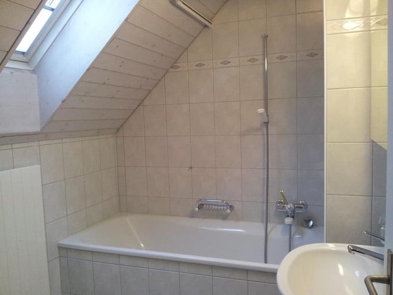 Charmante 1.5-Zimmer-Dachwohnung an zentraler Lage (4)