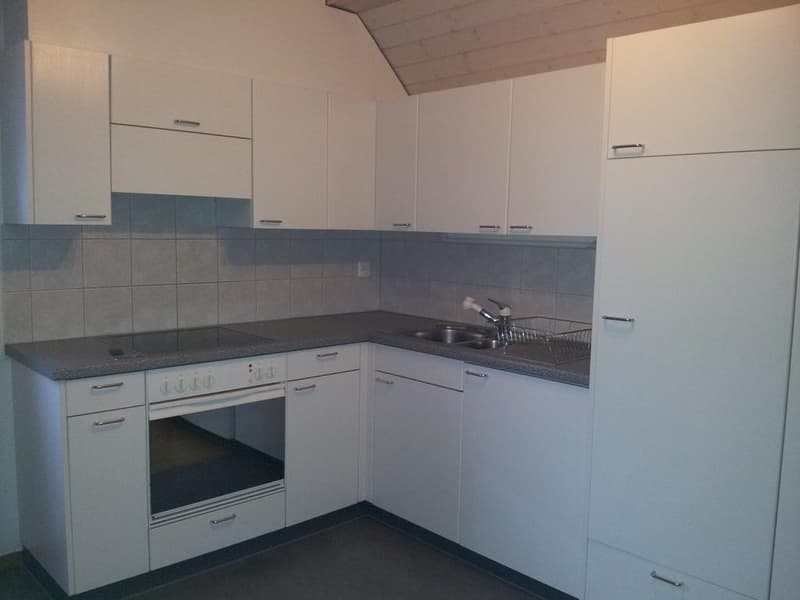 Charmante 1.5-Zimmer-Dachwohnung an zentraler Lage (2)