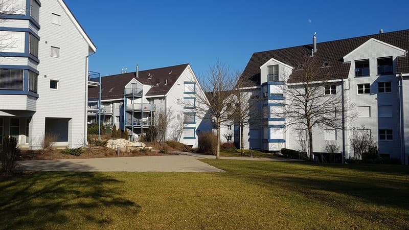Schöne helle 1.5-Zimmerwohnung an ruhiger Lage (1)