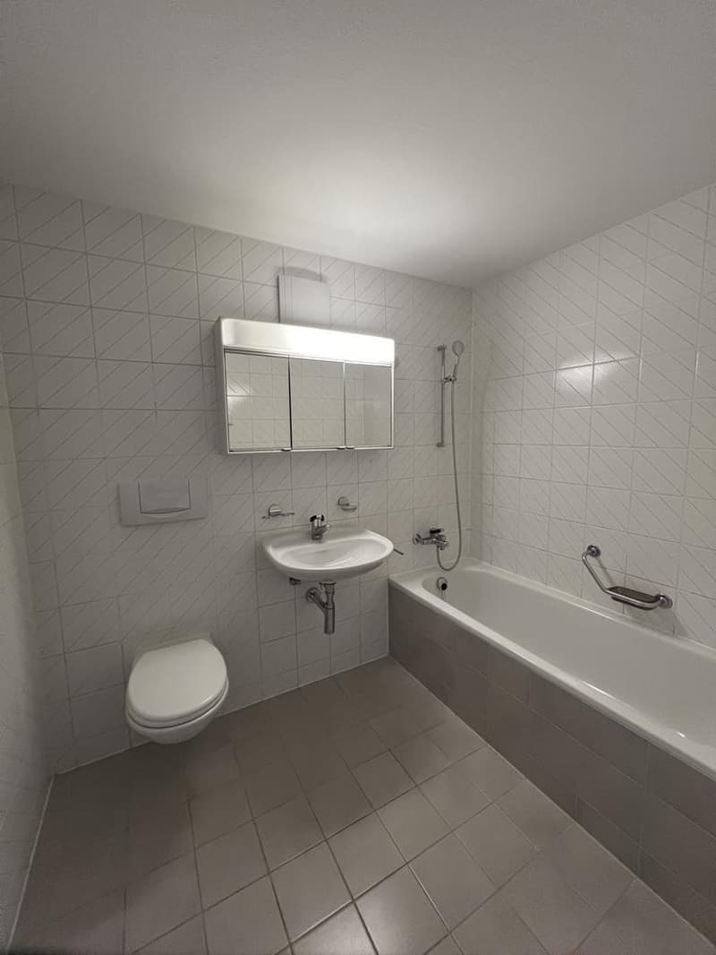 Schöne helle 1.5-Zimmerwohnung an ruhiger Lage (5)