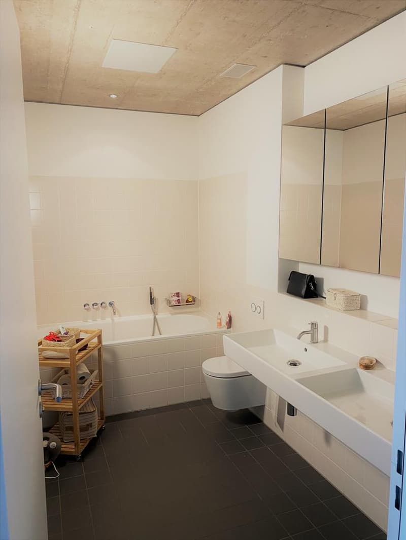 Moderne Maisonettewohnung mit grosser Dachterrasse (4)