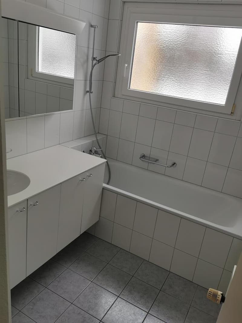 Helle freundliche 3-Zimmer Wohnung im 3. OG in ruhigem Quartier (6)