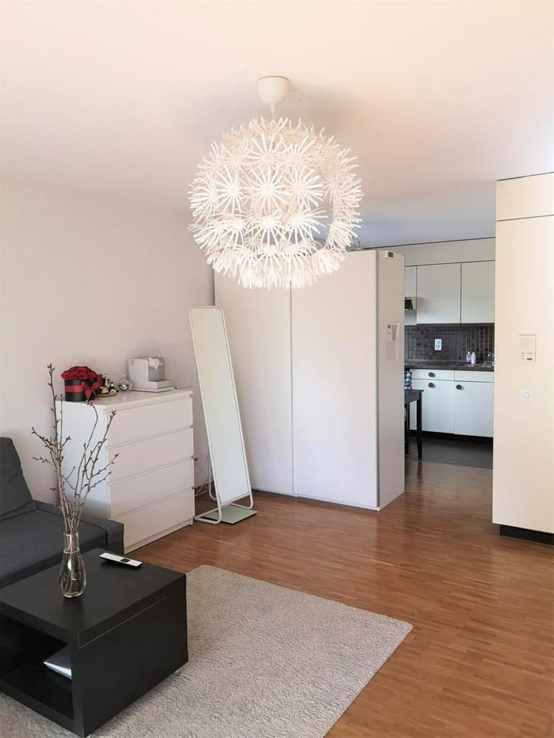 Wohnen am linken Zürichseeufer (3)