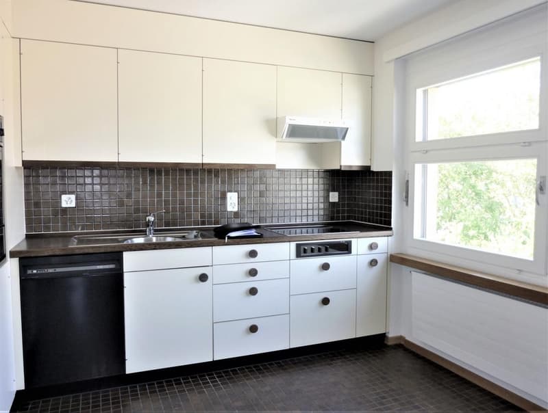 Wohnen am linken Zürichseeufer (4)
