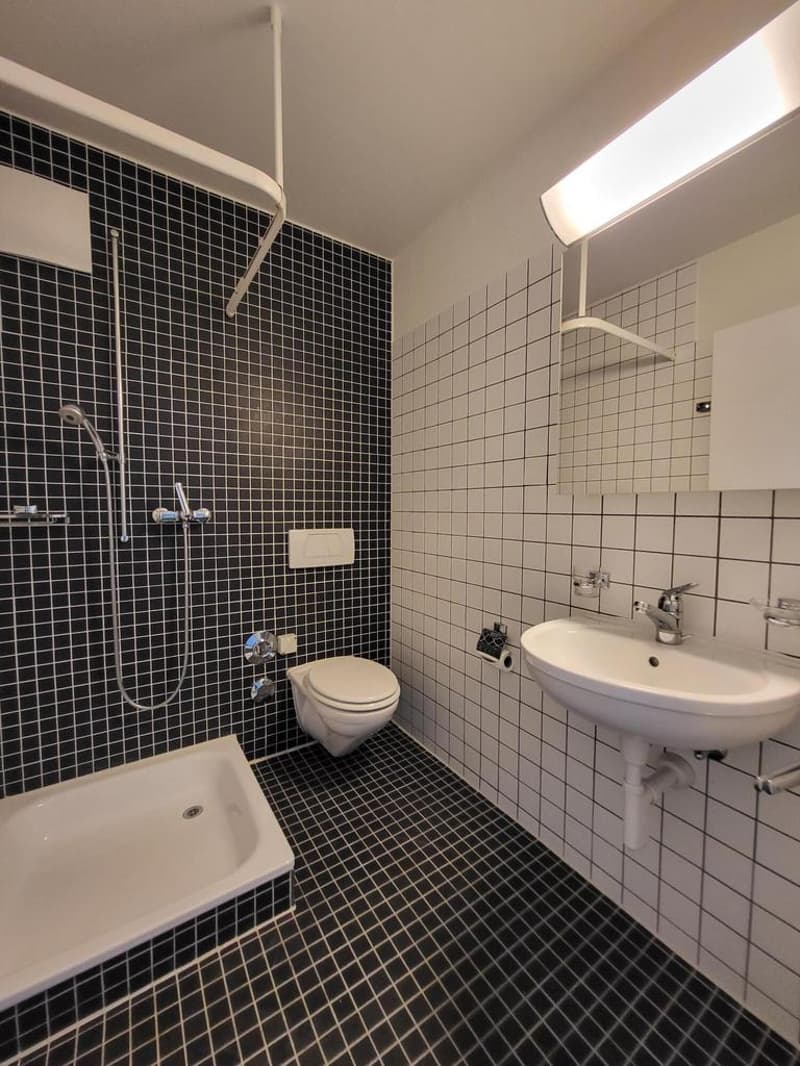 Suchen Sie eine Maisonettewohnung im Herzen von Oerlikon? (9)