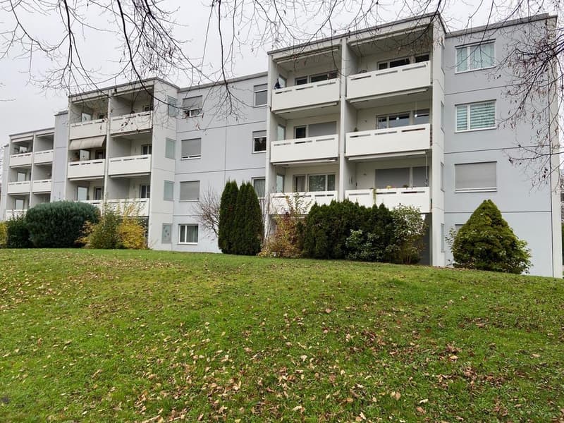 Helle freundliche 3-Zimmer Wohnung im 3. OG in ruhigem Quartier (1)