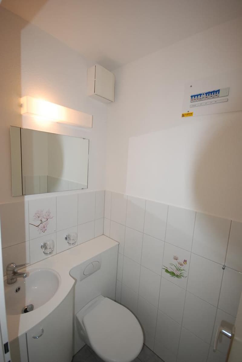 Helle 5 Zimmer Wohnung im 2. OG im Zentrum von Volketswil (3)