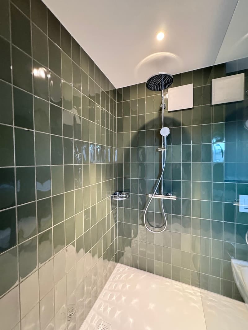 3.5 Zimmer Haus angebaut, Lift, Top Ausbau (8)