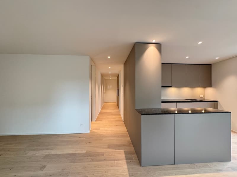Exklusive 3.5 Zi. Wohnung mit Sitzplatz, bevorzugte Lage (5)