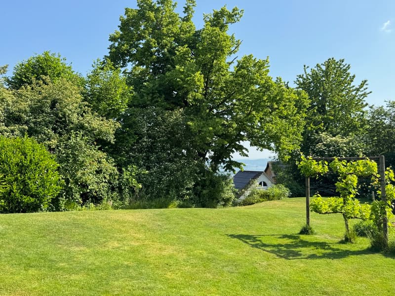 Gepflegtes Riegelhaus mit Traumgarten & Weitsicht - ausbaubar (3)