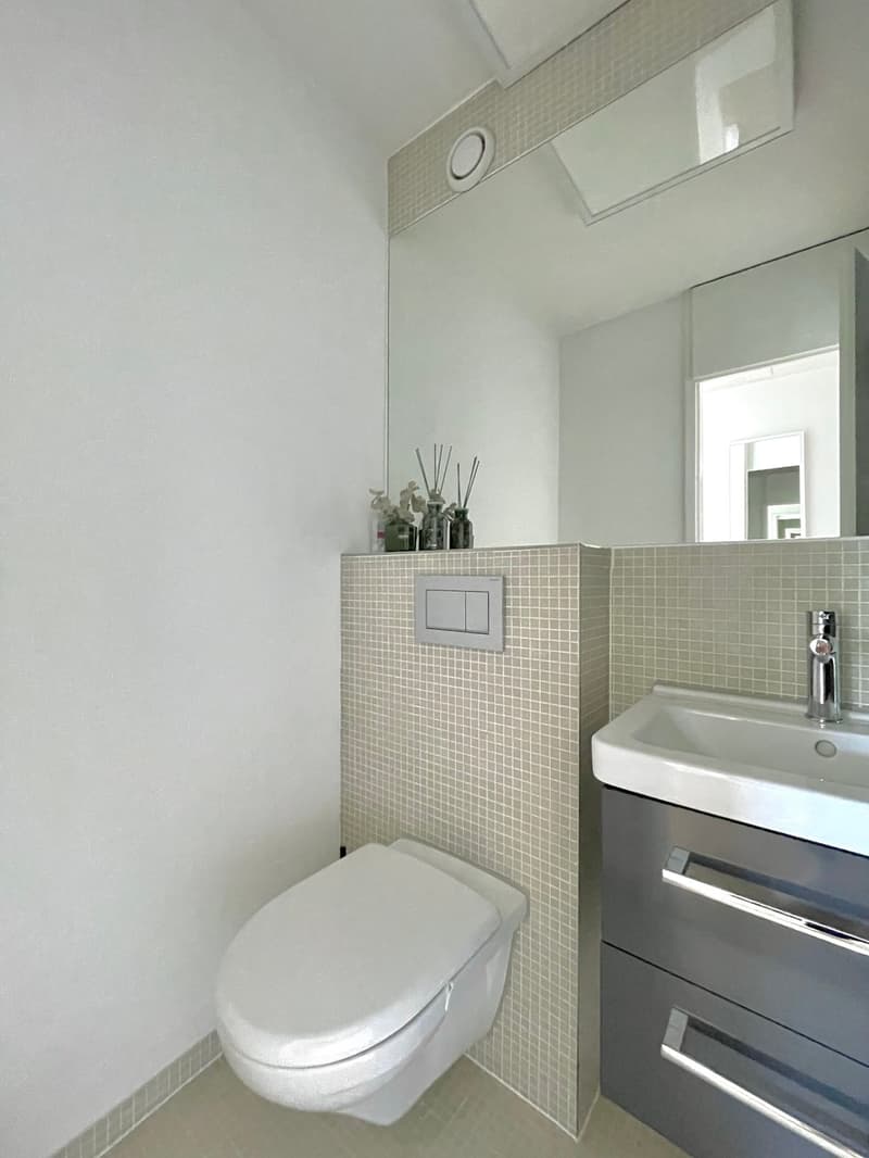 Moderne 3.5 Zi. Attikawohnung, 2 Balkone, Lift (8)