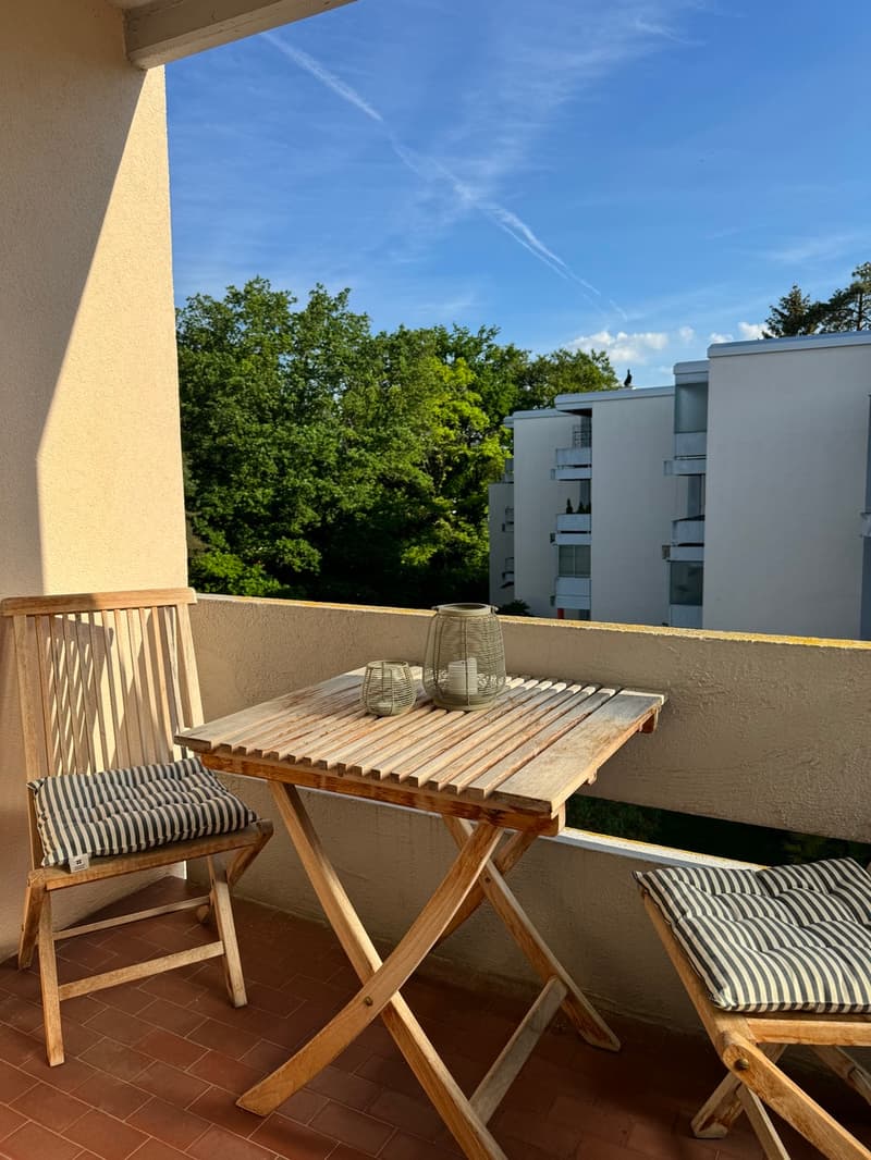 Moderne 3.5 Zi. Attikawohnung, 2 Balkone, Lift (11)