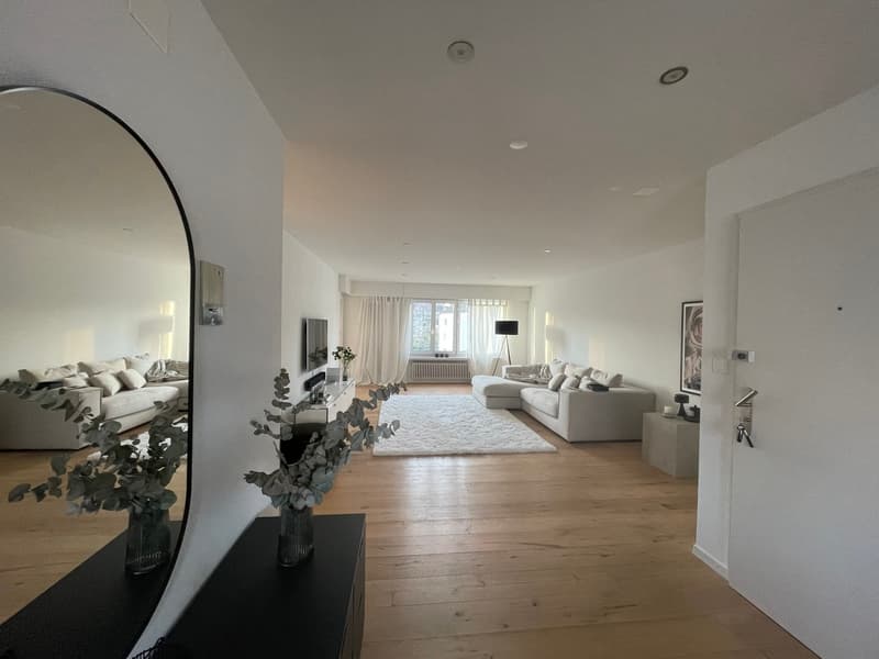Moderne 3.5 Zi. Attikawohnung, 2 Balkone, Lift (5)