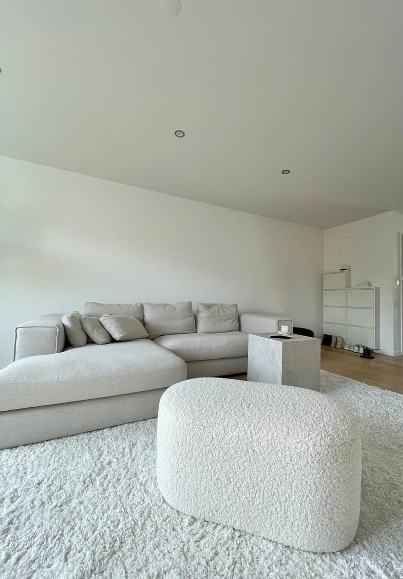 Moderne 3.5 Zi. Attikawohnung, 2 Balkone, Lift (3)
