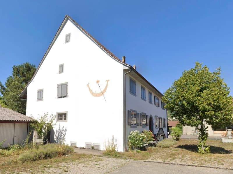Historisches Liebhaberobjekt (3)