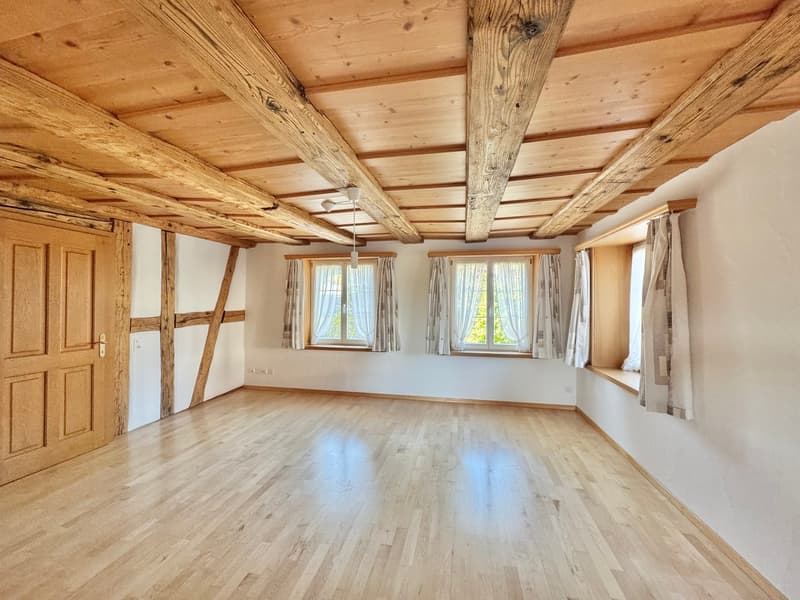 6.5 Zi. Riegelhaus mit Werkstatt/Stallung,Terrasse & Garten (5)