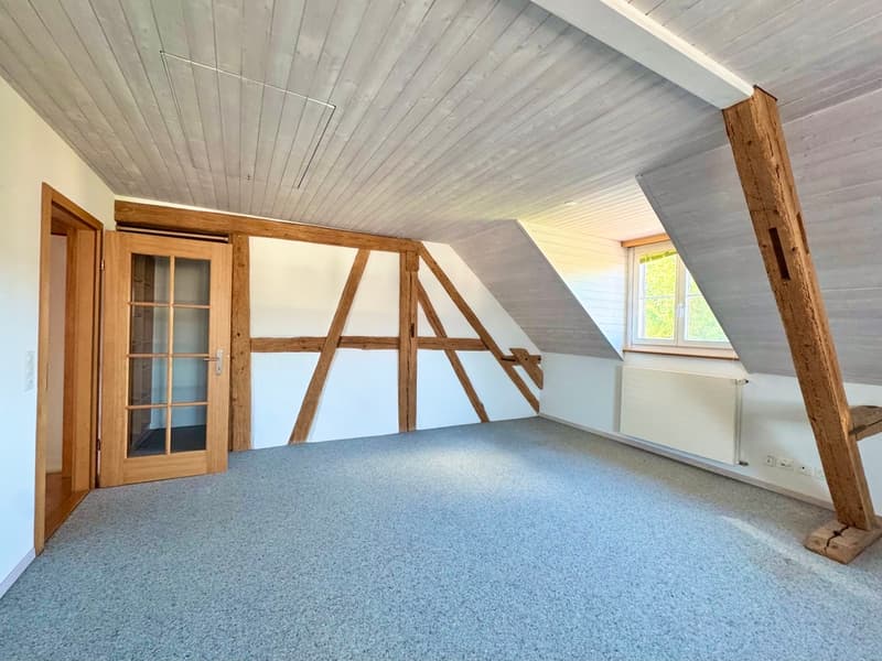 6.5 Zi. Riegelhaus mit Werkstatt/Stallung,Terrasse & Garten (10)
