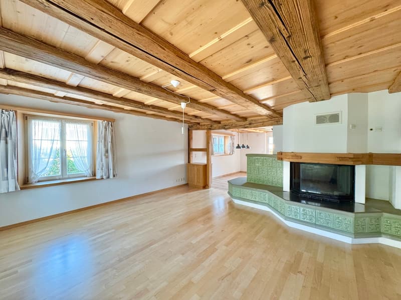 6.5 Zi. Riegelhaus mit Werkstatt/Stallung,Terrasse & Garten (4)