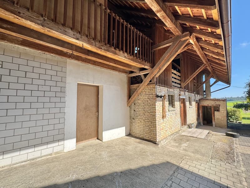 6.5 Zi. Riegelhaus mit Werkstatt/Stallung,Terrasse & Garten (11)