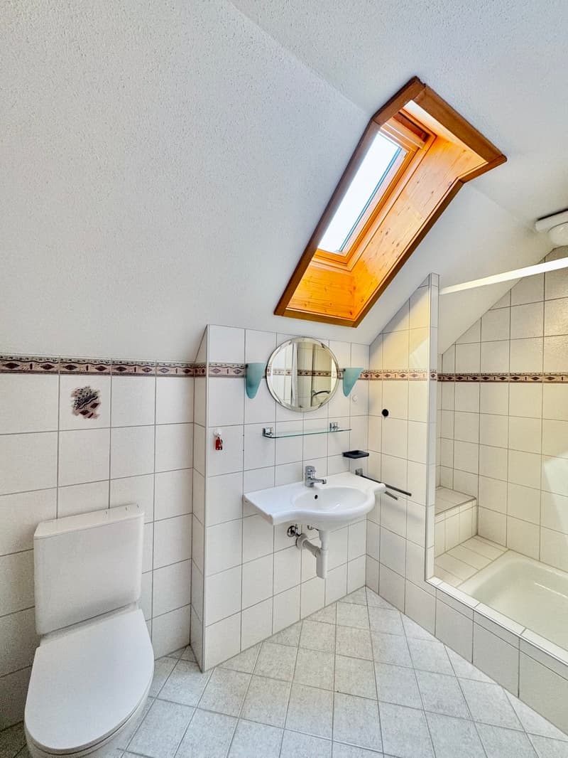 6.5 Zi. Riegelhaus mit Werkstatt/Stallung,Terrasse & Garten (9)