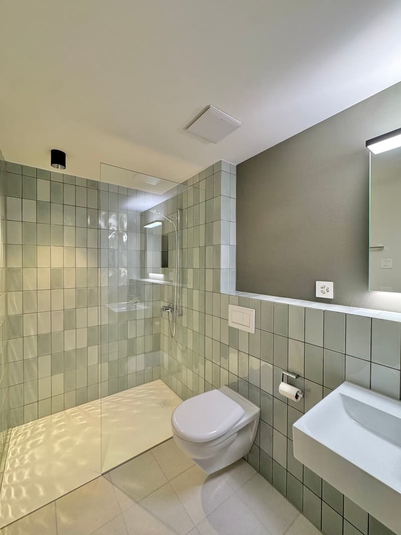 3.5 Zimmer Haus angebaut, Lift, Top Ausbau (6)
