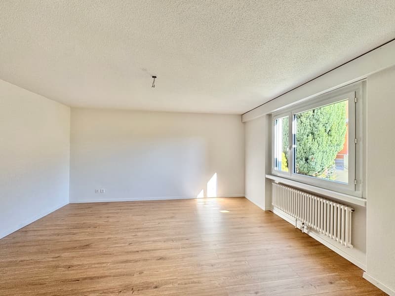 Sonnige Hanglage mit Rheinblick: 5.5-Zi. Terrassenhaus an ruhiger Lage (9)