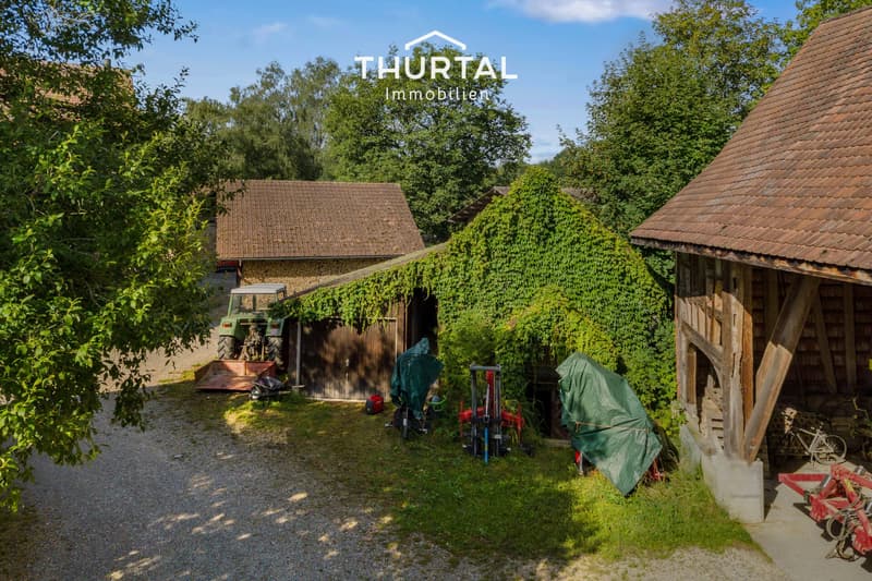 Due proprietà con giardino, in un ambiente naturale (4)