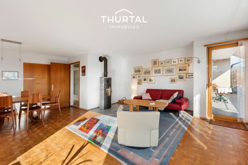Spacious 7.5 room single-family house with garden and modern energy technology (3)